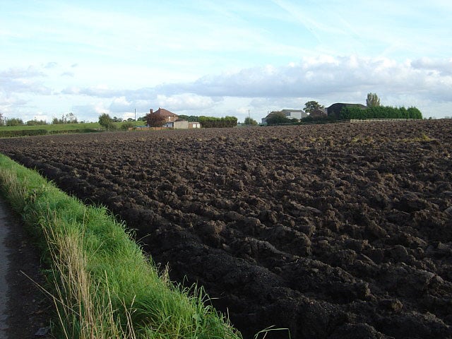 Common_Misconceptions_About_Soil_Improvement.jpg