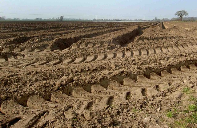 Quick_Tips_For_Improving_Soil_Quality_For_Crop_Improvement.jpg